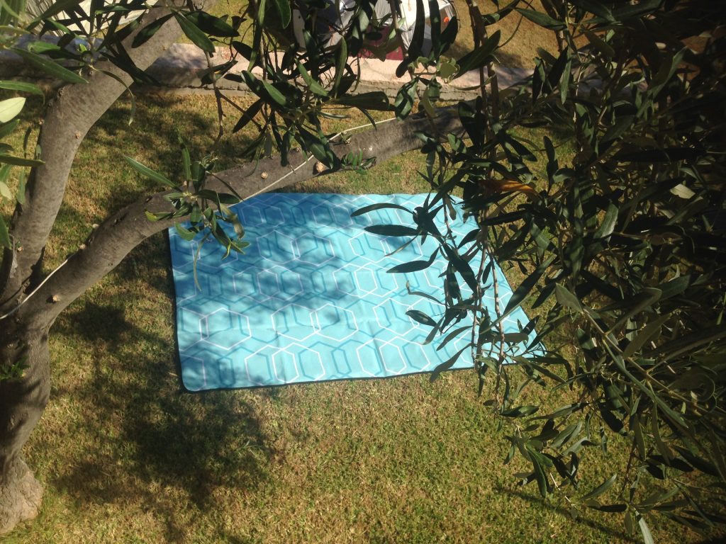 Beach Mat under the shadow