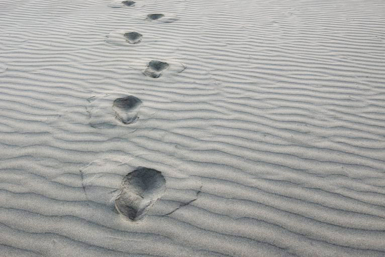 beach footsteps